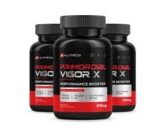 Primordial Vigor X - Restore Energy and Stamina